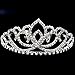 Vinida Crystal Tiara Crown Headband for Wedding Prom Bridal Birthday (Sliver)