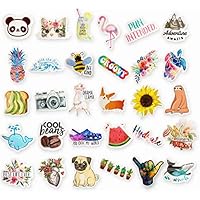 Big 30-Pack Random Trendy Teen Stickers Pack (Series 1) | Cute Aesthetic Decal Stickers | Stickers for Teen Girls | Great for Laptop, iPhone, Water Bottles