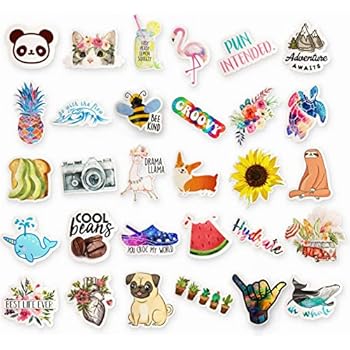 Amazon Com Ripdesigns 14 Cute Animal Stickers For Water