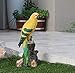 TABOR TOOLS Parrot Statue Ornament, Decorative Tropical Bird, Terrace Figurine, Miniature Statue, Outdoor Decor, Cute Patio Figure, Sculpture for Your Garden, Home or Office. DM404A. (Parrot)