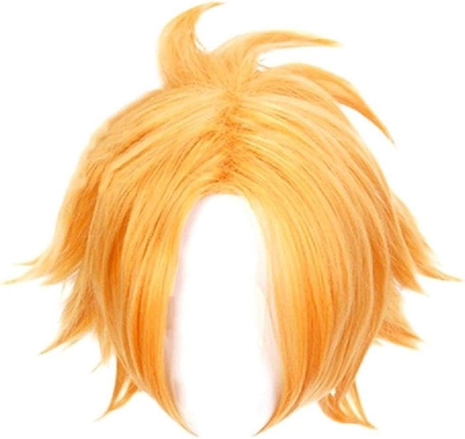 Denki Kaminari Cosplay Wig, My Hero Academia Main Character Costume Short Gold Hair