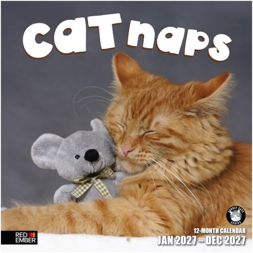 Red Ember Cat Naps 2027 Calendar