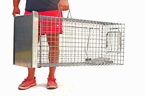 Holtaz Hardy Super Starke Falle Marderfalle Katzenfalle Fuchsfalle Biberfalle Tierfalle Kastenfalle Drahtfalle Waschbärfalle 1 Tür, Größe: 102x34x34 cm Mit Extra Köder – Bild 6