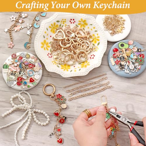 ASTNIC 316 Pieces DIY Key Chain Craft Charms Pendant Set, Jewellery Craft Accessories, Key Chain Making Kit, Metal Rings for Crafts, Things for Girls