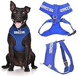 Service Dog Blue Color Coded Waterproof Padded Adjustable Non Pull Front and Back Ring Alert Warning Small or Medium Vest Dog Harness Prevents Accidents By Warning Others of Your Dog in Advance (Medium Vest Harness)