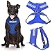 Service Dog Blue Color Coded Waterproof Padded Adjustable Non Pull Front and Back Ring Alert Warning Small or Medium Vest Dog Harness Prevents Accidents By Warning Others of Your Dog in Advance (Medium Vest Harness)