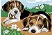 Paint by Numbers for Kids with Frame Dog, YEESAM ART Children Paint by Number Kits 2 Dogs Puppy 8x12 Inch