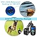 PetExpert Dog Shock Collar with Leather Lanyard Remote 330yd Waterproof Rechargeable Dog Training Collar Electric Collar with Beep Vibration Shock&LED Light Dog Bark Collar for All Dogs(10Lbs-100Lbs)