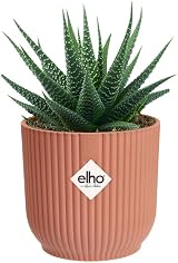 elho Vibes Fold Round Mini Pot Pink 9.3 x 8.8 cm 100% Recyclable view 8