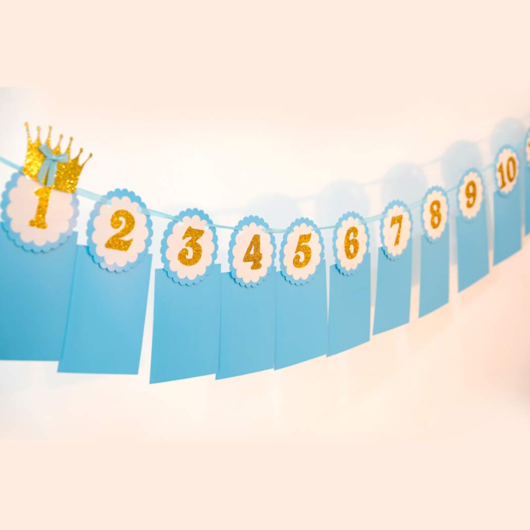 Justdolife Banniere Photo Bebe Bricolage Creatif 1er Anniversaire Belle Banniere De Fete Pour 12 Mois Decorations Decorations Et Accessoires De Fetes Zwembaddebeemd Nl