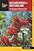 Nuts and Berries of New England: Tips And Recipes For Gatherers From Maine To The Adirondacks To Long Island Sound (Nuts and Berries Series)