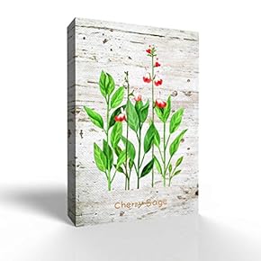 Canvas Wall Art - Flora Art - Modern Home Art Stretched and Framed Ready to Hang - 12x18 inches