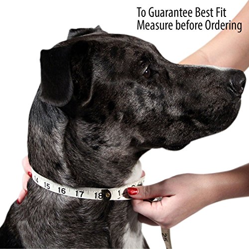 Logical Leather Padded Dog Collar - Best Full Grain Heavy Duty Genuine Leather Collar - Brown - Small
