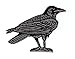 Raven/Crow - Black/Gray - Facing Right - Birds - Iron On Embroidered Applique Patch