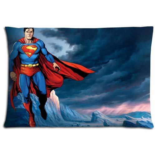 20x30 20 X30 50x76cm Body Pillow Shells Case Polyester Cotton