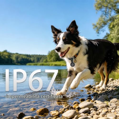 Collare GPS per Gatti Compatibile con Sistemi iOS e Android GPS per Cani Riproduzione Della Cronologia dei Tracciati (7 giorni) Localizzatore GPS Cani Tracciamento Impermeabile (IP67) -Nero Pieno