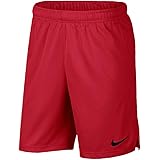 nike men's epic training shorts