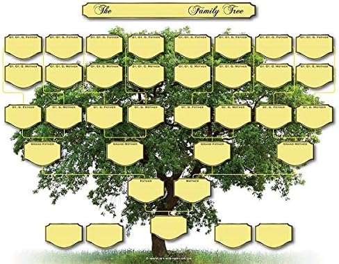 Family Tree Ancestor Chart - 5 Generations Pack of 2