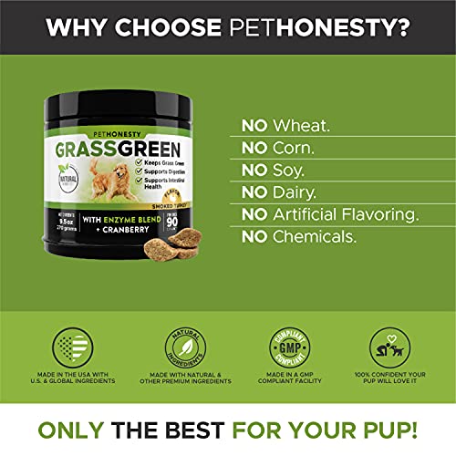 PetHonesty Grass Green Grass Burn Spot Chews for Dogs Dog Pee Lawn Spot Saver Treatment Caused