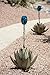 Desert Steel Blue Agave Garden Torch - (Large - 30”W x 20”H x 38”H) - Outdoor Metal Yard Art & Lawn Decoration