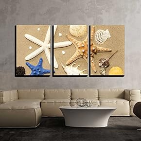 Shells and Starfish on Beach on Sand Background...