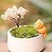 HuntGold 6x DIY Craft Cat For Fairy Garden Ornament Miniature Figurine Dollhouse Decor