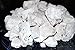 White Kaolin Clay Dirt Chunks. Raw, Crunchy and Chalky White Dirt Pieces