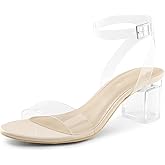DREAM PAIRS Women's Open Toe Ankle Strap Low Block Chunky Heels Sandals Party Dress Pumps Shoes
