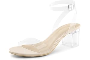 DREAM PAIRS Women's Open Toe Ankle Strap Low Block Chunky Heels Sandals Party Dress Pumps Shoes