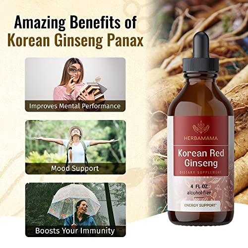 Ginseng Liquid Extract - Korean Red Ginseng Drops - Panax Ginseng Root ...