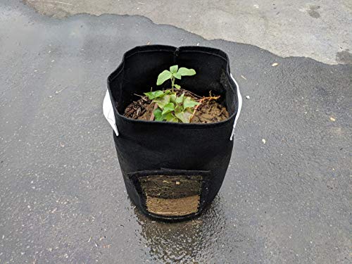 247Garden 5-Pack 15-Gallon Potato Grow Bags/Aeration Fabric Pots w/Handles & Flap Door for Easy Harvesting (Black)