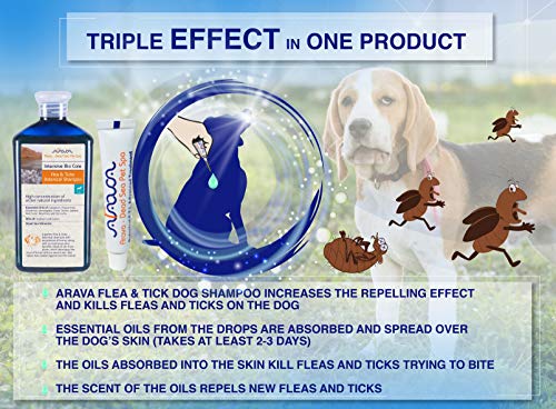 Arava Natural Flea & Tick Prevention for Dogs - 4-Doses - 100% Safe Dog Flea & Tick Control - Repels Pests with Natural Oils - Safe on Skin and Coats - Enhanced Defense & Prevention (3 Variations)