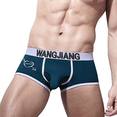 NewlyBlouW Mens Plus Size Underwear, Casual Soft Cotton Underpants Fashion Shorts Bulge Pouch Boxer Briefs