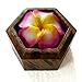 Jittasil Hand-Carved Soap Flower, Rainbow Plumeria Gift Set In Wood Case, 4 Inch