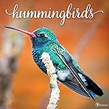 2017 Hummingbirds Wall Calendar by 