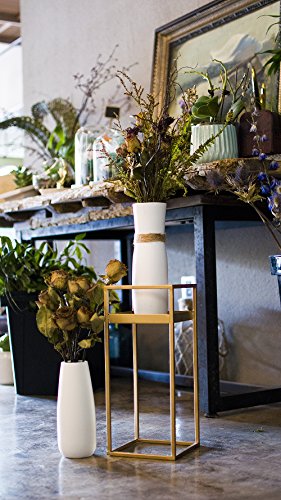 6 Opps+Ceramic+differing+Unique+Design