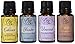 Top Aromatherapy Blends Gift Set By Ovvio Oils | Inhale - Respiratory Relief | Unwind - Stress Relief | Enhance - Mood Lifting | Slumber - Natural Sleep | 4 Full Size 15ml Bottles