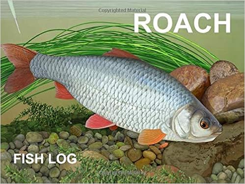 roach fish