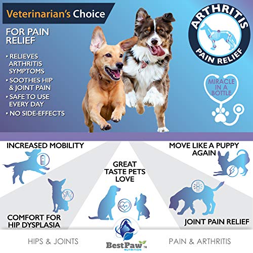 Best Paw Nutrition Liquid Glucosamine Chondroitin for Dogs Hip