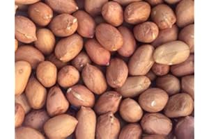 PINSTAR PREMIUM Raw Red Skin Peanuts (Uncooked, Unsalted) 3 LB. (48oz), Product of USA