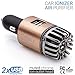 Car Air Purifier Ionizer - 12V Plug-in Ionic Anti-Microbial Car Deodorizer with Dual USB Charger - Smoke Smell, Pet and Food Odors, Allergens, Viruses Eliminator for Car (Matte Copper)