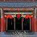 Bememo 3D Chinese New Year Dragon Garland Hanging Decoration (2 Pieces, 4.92 Feet with Lantern)