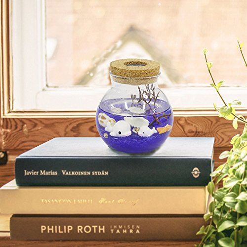 Jeteven Microlandschaft DIY LED Glass Bottle Light Night Light with Remote Control 4 Modes Home Room Party Christmas Decor