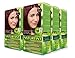 Naturtint 5M Light Mahogany Chestnut Permanent Hair Color (Pack of 6), Ammonia Free, Vegan, Cruelty Free, up to 100% Gray Coverage, Long Lasting Results (Packaging may vary)