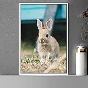 signwin Framed Canvas Wall Art Bunny Animals Bedroom...