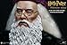 Star Ace Toys Harry Potter and the Sorcerer's Stone: Albus Dumbledore Deluxe Edition Action Figure (1:6 Scale)