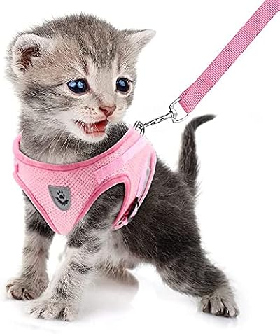 FEimaX Small Cat Dog Harness and Leash Set Reflective Strips Adjustable No Pull