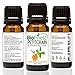 BioFinest Petitgrain Oil - 100% Pure Petitgrain Essential Oil - Clear Acne, Pimples, Skin Blemishes - Premium Quality - Therapeutic Grade - Best For Aromatherapy - FREE E-Book (10ml)