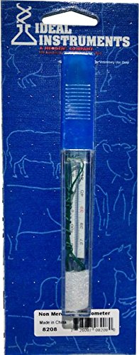 NEOGEN IDEAL 272507 Vet Thermometer , 5"