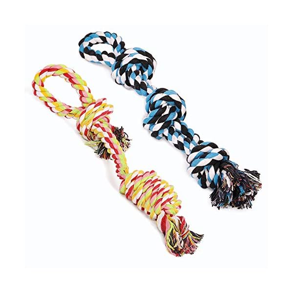 squeaky pineapple dog toy